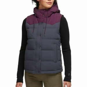 Patagonia Bivy Puffer Vest womens